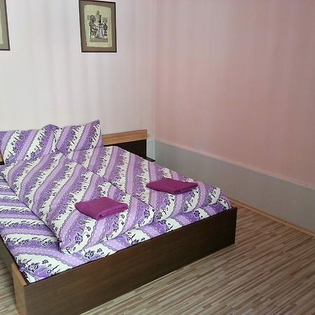 Guest House Zora Belogradcsik Kültér fotó